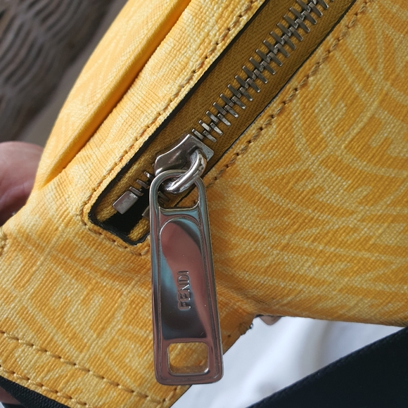 Fendi SARAH COLEMAN Vitello Grace Light Micro FF Vertigo Belt Bag Mimo - Picture 2 of 11